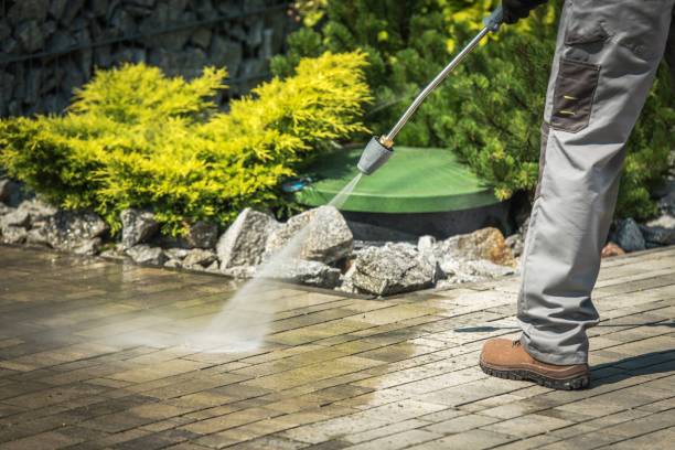 Best Roof Cleaning and Mildew Removal in Suffield Depot, CT